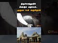 திருச்செந்தூரில் மீண்டும் அதிசயம்.. முருகா உன் அருள்தான் shorts tiruchendur murugantemple