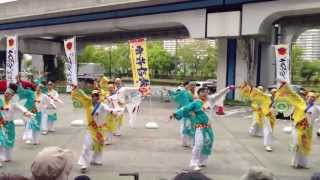 Worldあぽろん2013 和歌山ＭＯＶＥ　東エントランス会場