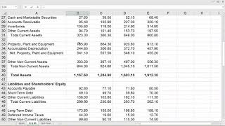 Financial Ratios in Excel