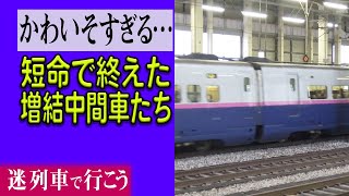 【厳選5選】かわいそすぎる…活躍期間が短命な増結中間車たち 【迷列車で行こう】#142