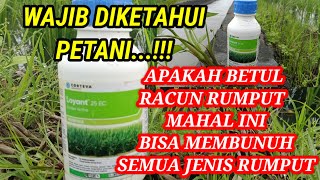 Racun rumput Loyant ampuh untuk berantas semua jenis rumput