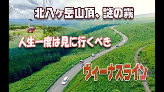 人生一度は見に行くべき絶景　ビーナスライン　北八ヶ岳山頂謎の霧　不思議の国のアリス現実版