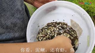 花幾塊錢配的萬能魚餌，這收穫讓人眼饞，簡單實用