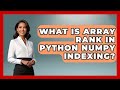 What Is Array Rank In Python NumPy Indexing? - Python Code School