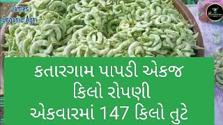 Katargam Papdi/કતારગામ પાપડી/જય પરીવર્તન ઈન્ડિયા કંપનીના પ્રોડક્ટથી જબરજસ્ત પરીણામ મળ્યું..