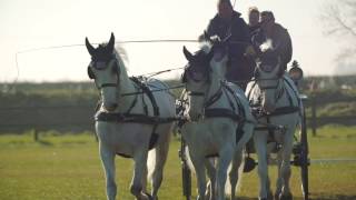 Boyd Exell on Carriage Driving at 5 star Royal Windsor Horse Show