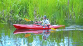 My Community: My Voice — Guiding Sustainable Economic Growth
