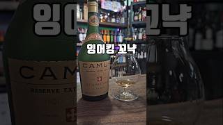 꼬냑 매니아들이 자기들끼리 몰래 먹는 꼬냑 #shorts