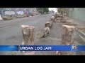 Large Logs Placed On Oakland Street To Deter Homeless Not A Problem, Neighbors Say