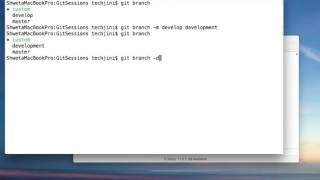 Git Branch Rename & Delete
