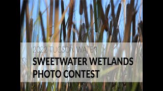 Sweetwater Wetlands Photo Contest 2022