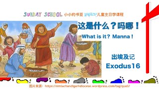 这是什么？吗哪！What is it？Manna！基督教雪梨靈糧堂兒童主日學課程Sunday School 20201031#兒童敬拜#聖經故事#兒童禱告#