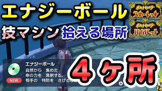 【ポケモンSV】エナジーボール（技マシン119）拾える場所！4ヶ所紹介！【スカーレット・バイオレット】