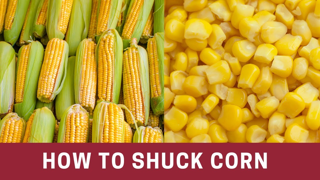 How To Shuck Corn Quickly (and Easily) | The Frugal Chef - YouTube