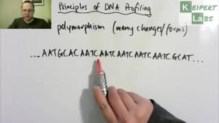 Principles of DNA Profiling