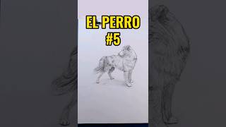 EL PERRO - Parte 5 #shorts #dibujo #tecnicasdedibujo #tutorialdibujo