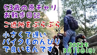 53歳の原チャリお散歩日記　ご近所をぶらぶら　小さくて遅いバイクものんびりで良いもんです