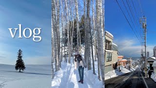 [여행 브이로그] 혼자 떠난 영화같은 삿포로❄️ | 비에이 투어, 오타루, 감성카페 추천, 징기스칸, 일본 국내선