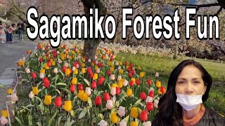 【Sagamiko Forest Fun】 Sagamiko Kanagawa Japan（相模湖プレジャーフォレスト）