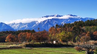 2021年6月25日 午前の部  光話：カルマの刈り取り