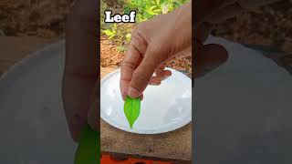 പേനയുടെ മഷി കൊണ്ട് ബോട്ട് ഉണ്ടാക്കി😂🤯 |pen ink experiment |#trending#viral#shorts#diy#m4tech#tiktok