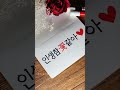 꽃처럼 어여쁜 손글씨 영상 feat.미꽃체🌹