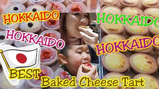 Hokkaido Baked Cheese Tart  #Japan #cheesetart