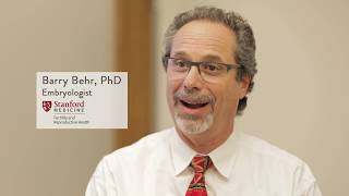 Barry Behr, PhD – Fertility and Reproductive Health, Stanford Medicine