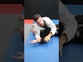 I Wish I Knew This Armlock Detail When I Was a BJJ White Belt