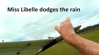 160603 1 Miss Libelle dodging the rain