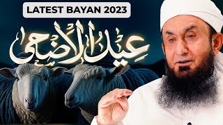 Eid Ul Adha 2023 Special Bayan by Molana Tariq Jamil | Eid Mubarak