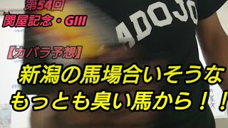 第54回 関屋記念・GIII【カバラ予想】血統的にも合いそうな●人気？上位人気でない●番から！※ホワイトボード漢字訂正(関谷→関屋)＋〈番組後半〉【出資愛馬近況コーナー】