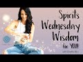 Spirits Wednesday wisdom for YOU! March 20, 2024 -SPRING EQUINOX✨