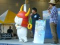 関空夏まつり２０１２　ひこにゃん　彦根の宣伝タイムです・その３