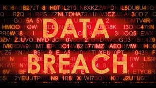 Here’s What You Should Do After a Data Breach