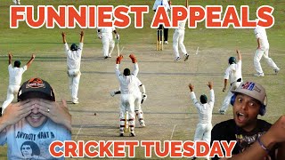 Top 10 Funniest Appeals in Cricket History | Cricket Tuesday REACTION