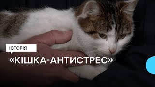 «Кішка-антистрес» у пожежній частині на Львівщині