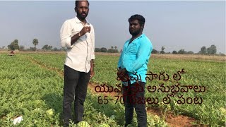 Watermelon Cultivation | పుచ్చకాయ  సాగు | Telugu Saagubadi |