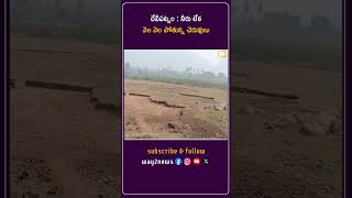 నీరు లేక వెల వెల పోతున్న చెరువులు | East Godavari | Andhra Pradesh | Way2news Telugu