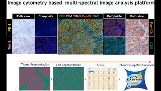 Applications of Image Cytometry in Digital Pathology: Using the Vectra Platform with FCS Express