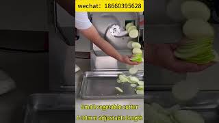 CHD20 leafy stem vegetable cutter machine | Radish Slicer #factory #kitchen #kitchenware #machine