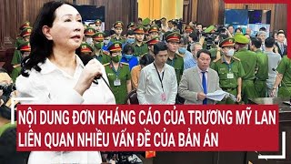 Điểm nóng: Nội dung lá đơn kháng cáo của Trương Mỹ Lan liên quan nhiều vấn đề của bản án