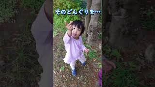 せっかく拾ったドングリを即ポイ捨てする3歳児#shorts