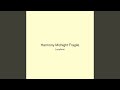 Harmony Midnight Fragile