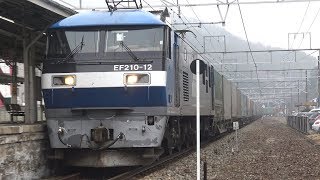 【4K】JR山陽本線　EF210-12号機牽引　1055レ貨物列車　笠岡駅通過