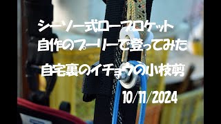 自作のプーリーでロープロケット：大源太農園202401010