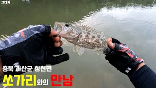 충북 괴산군 청천면에서 쏘가리와의 만남!!