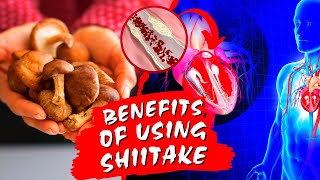 Shiitake Mushroom | 5 Health Benefits Explained | Just Mushrooms