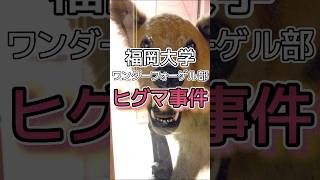 福岡大学ワンダーフォーゲル部ヒグマ事件