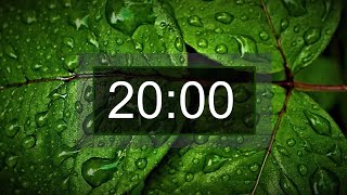 Countdown timer, 20 minutes with relaxing music for concentration